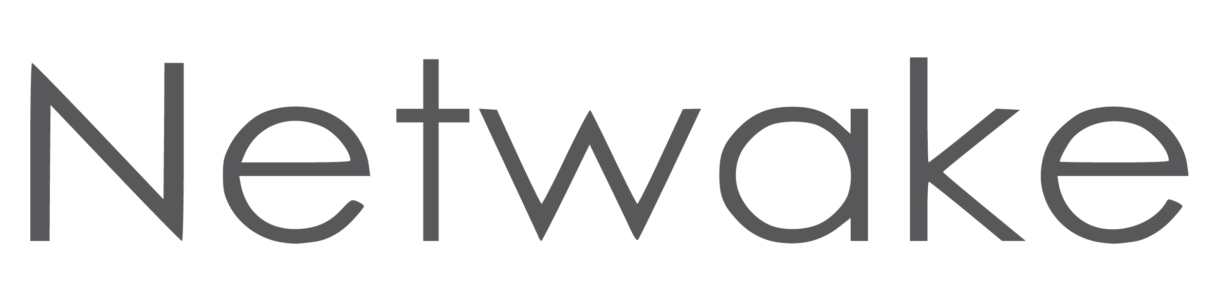 FAQ NetwakeVision